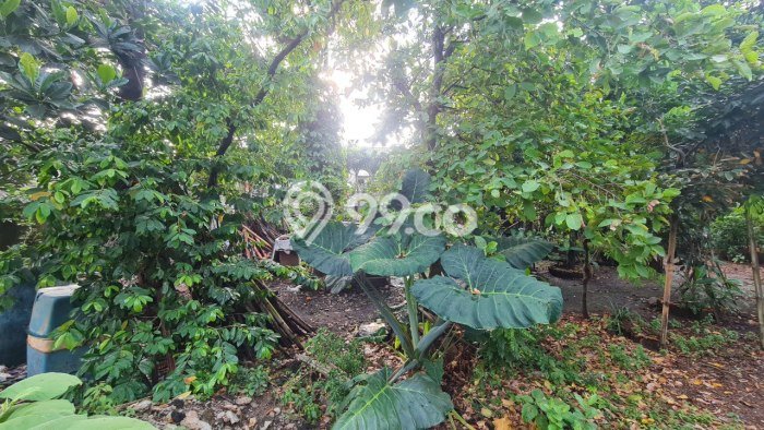 Tanah Kavling Dijual di Jatimakmur, Bekasi dengan Luas Tanah 3440m2 Tanah Kavling Dijual di Jatimakmur, Bekasi dengan Luas Tanah 3440m2