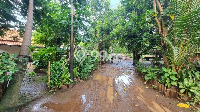 Tanah Kavling Dijual di Jatimakmur, Bekasi dengan Luas Tanah 3440m2 Tanah Kavling Dijual di Jatimakmur, Bekasi dengan Luas Tanah 3440m2