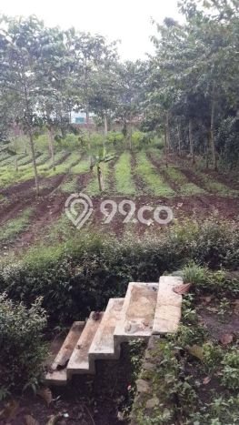 Tanah di Cianjur, Cianjur Luas 11841m2 Dijual Segera Tanah di Cianjur, Cianjur Luas 11841m2 Dijual Segera