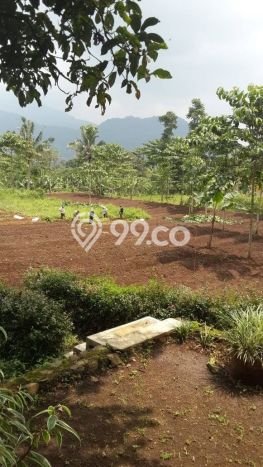 Tanah di Cianjur, Cianjur Luas 11841m2 Dijual Segera Tanah di Cianjur, Cianjur Luas 11841m2 Dijual Segera