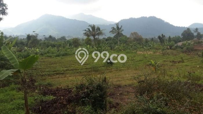 Tanah di Cianjur, Cianjur Luas 11841m2 Dijual Segera Tanah di Cianjur, Cianjur Luas 11841m2 Dijual Segera