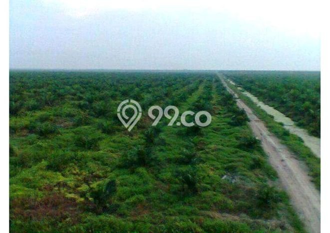Best Deal Hunian Mewah Ideal dan Luas di Dumai Barat, Dumai Best Deal Hunian Mewah Ideal dan Luas di Dumai Barat, Dumai