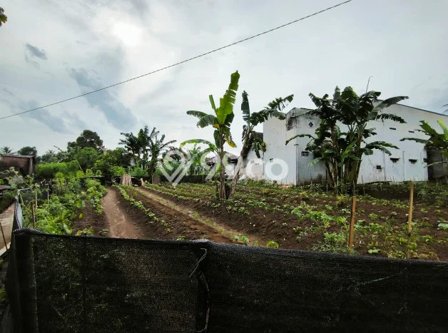 Tanah Kavling untuk Dijual di Mertoyudan Magelang 750m2 Tanah Kavling untuk Dijual di Mertoyudan Magelang 750m2