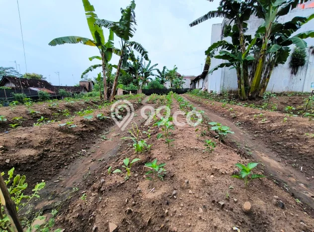 Tanah Kavling untuk Dijual di Mertoyudan Magelang 750m2 Tanah Kavling untuk Dijual di Mertoyudan Magelang 750m2