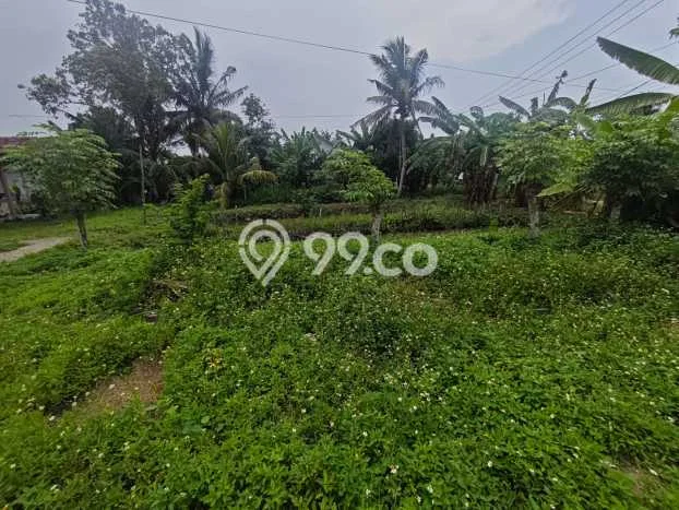 Kavling Tanah Dijual di Gunung Kaler Tangerang Spesifikasi 1032m2 Kavling Tanah Dijual di Gunung Kaler Tangerang Spesifikasi 1032m2