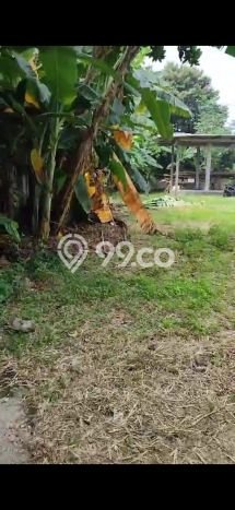 Tanah Kavling Dijual di Cipete, Jakarta Selatan dengan Luas Tanah 963m2 Tanah Kavling Dijual di Cipete, Jakarta Selatan dengan Luas Tanah 963m2