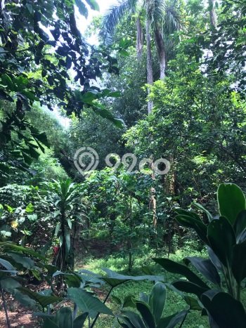 Tanah untuk Dijual di Gunung Putri Bogor Luas 15000m2 Tanah untuk Dijual di Gunung Putri Bogor Luas 15000m2