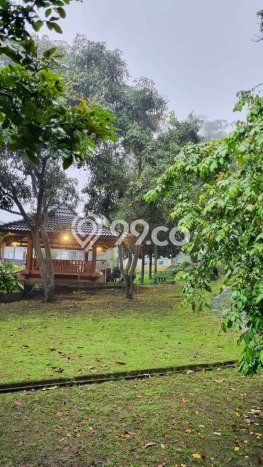 Properti Strategis! Vila Kawasan Lawang, Dimensi 7141m2m², Lokasi Strategis dengan potensi meningkat Properti Strategis! Vila Kawasan Lawang, Dimensi 7141m2m², Lokasi Strategis dengan potensi meningkat