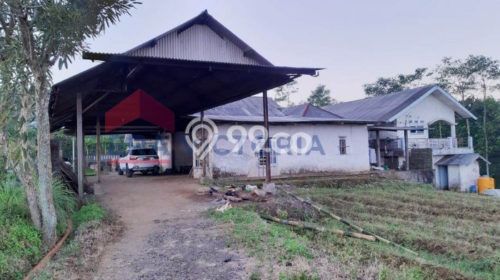 Tanah Strategis Dijual di Jabung Malang 70000m2 Tanah Strategis Dijual di Jabung Malang 70000m2