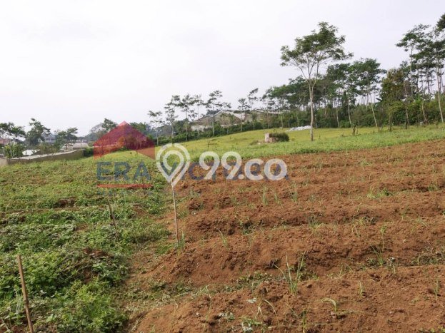 Tanah Strategis Dijual di Jabung Malang 70000m2 Tanah Strategis Dijual di Jabung Malang 70000m2
