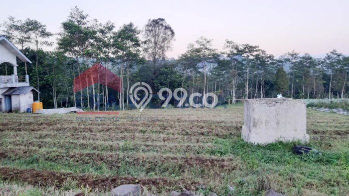 Tanah Strategis Dijual di Jabung Malang 70000m2 Tanah Strategis Dijual di Jabung Malang 70000m2