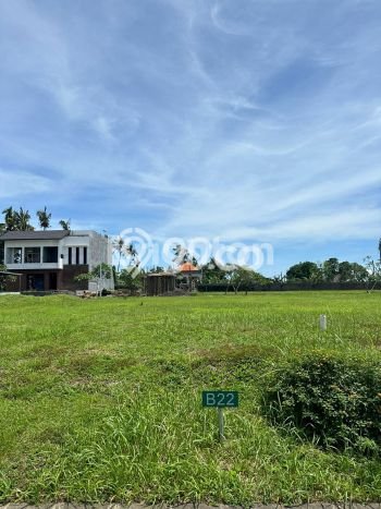 Tanah Dijual Area Strategis di Pangkutibah Tabanan 105m2 Tanah Dijual Area Strategis di Pangkutibah Tabanan 105m2
