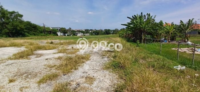 Lahan Disewakan Lokasi Umalas Badung Luas 726m2 Lahan Disewakan Lokasi Umalas Badung Luas 726m2