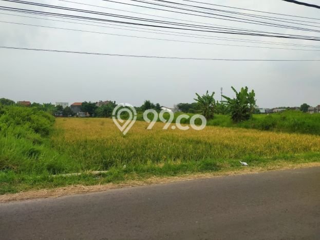 Lahan Kosong Dijual di Karanganyar dengan Area 2420m2 Lahan Kosong Dijual di Karanganyar dengan Area 2420m2