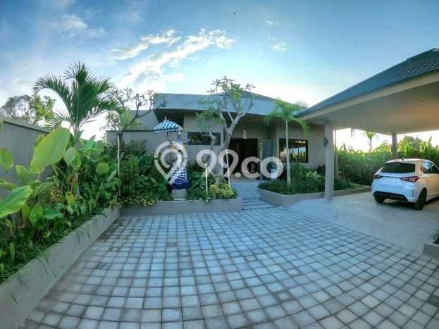 Dijual Rumah Mewah Megah Dengan View Eksklusif di Lovina, Buleleng Dijual Rumah Mewah Megah Dengan View Eksklusif di Lovina, Buleleng