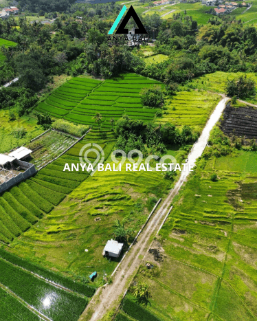 Tanah Siap Bangun Dijual di Badung Punya Luas 1800m2 Tanah Siap Bangun Dijual di Badung Punya Luas 1800m2