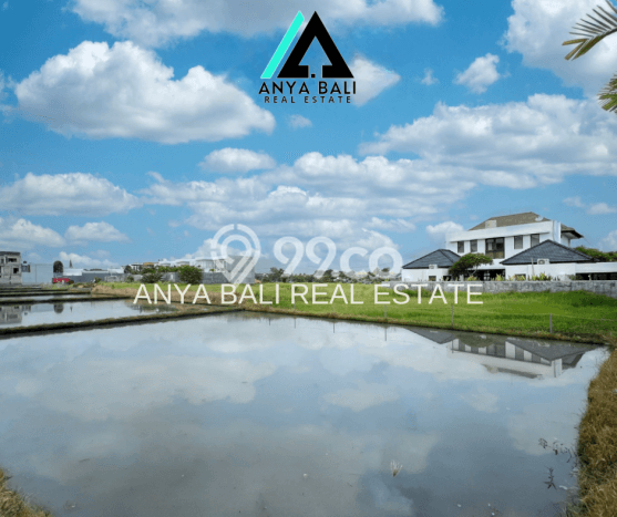 Tanah Dijual Area Strategis di canggu Badung 1220m2 Tanah Dijual Area Strategis di canggu Badung 1220m2