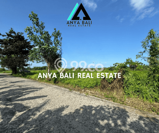 Tanah Dijual Lokasi Kediri, Tabanan Luas 500m2 Legalitas Aman Tanah Dijual Lokasi Kediri, Tabanan Luas 500m2 Legalitas Aman
