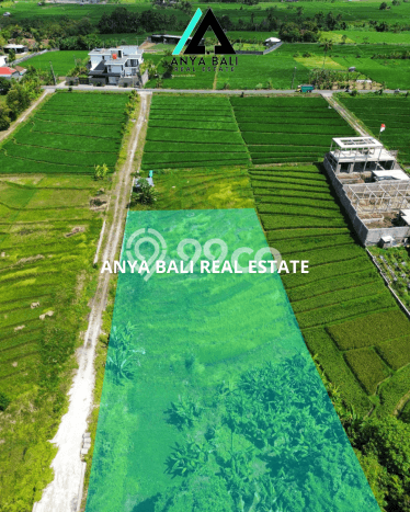 Tanah Siap Bangun Dijual di Badung Punya Luas 1800m2 Tanah Siap Bangun Dijual di Badung Punya Luas 1800m2