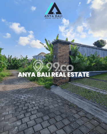 Dijual Tanah 371m2 di Nyanyi, Badung Dijual Tanah 371m2 di Nyanyi, Badung
