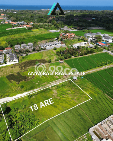 Tanah Siap Bangun Dijual di Badung Punya Luas 1800m2 Tanah Siap Bangun Dijual di Badung Punya Luas 1800m2