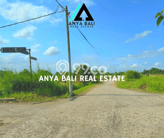 Tanah Dijual Lokasi Kediri, Tabanan Luas 500m2 Legalitas Aman Tanah Dijual Lokasi Kediri, Tabanan Luas 500m2 Legalitas Aman