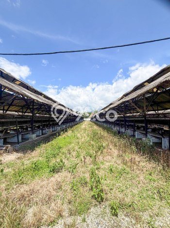 Kavling Tanah di Lawang Dijual Luas 58119m2 Legalitas SHM Kavling Tanah di Lawang Dijual Luas 58119m2 Legalitas SHM
