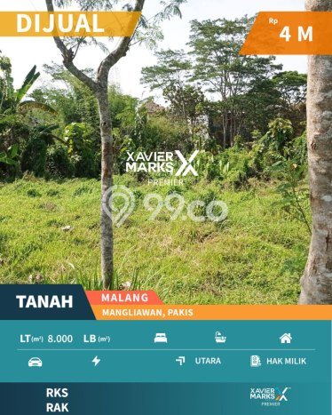 Kavling Tanah di Pakis Dijual Luas 8000m2 Legalitas SHM Kavling Tanah di Pakis Dijual Luas 8000m2 Legalitas SHM