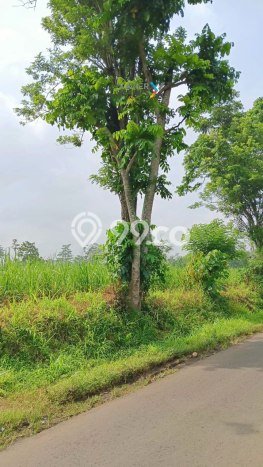 Lahan Kosong Dijual di Pakis, Malang, Luas 1623m2 Area Strategis Lahan Kosong Dijual di Pakis, Malang, Luas 1623m2 Area Strategis