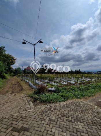 Tanah Kavling untuk Dijual di Lowokwaru Malang 520m2 Tanah Kavling untuk Dijual di Lowokwaru Malang 520m2