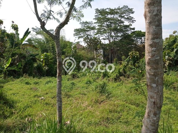 Kavling Tanah di Pakis Dijual Luas 8000m2 Legalitas SHM Kavling Tanah di Pakis Dijual Luas 8000m2 Legalitas SHM