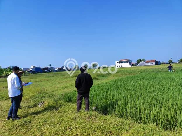 Tanah untuk Dijual di Demak Demak Luas 120m2 Tanah untuk Dijual di Demak Demak Luas 120m2