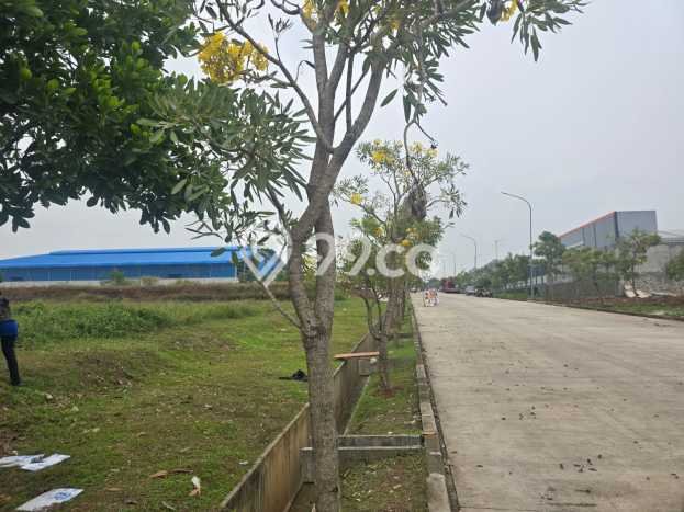 Lahan untuk Dijual Lokasi Karawang Barat, Karawang Luas 17570m2 - Lahan untuk Dijual Lokasi Karawang Barat, Karawang Luas 17570m2 -