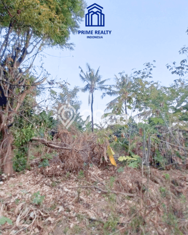 Tanah Kosong Dijual di Buleleng dengan Area 155m2 Tanah Kosong Dijual di Buleleng dengan Area 155m2