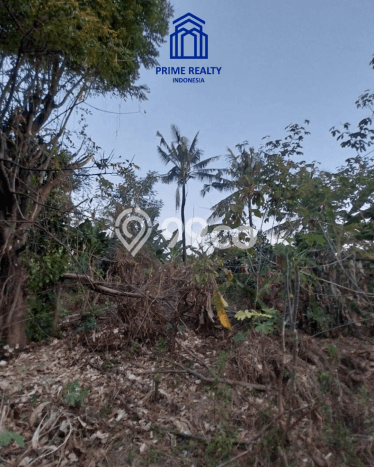 Tanah Kosong Dijual di Buleleng dengan Area 155m2 Tanah Kosong Dijual di Buleleng dengan Area 155m2