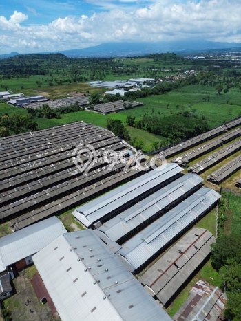 Gudang Dijual di Lawang Malang dengan Luas Bangunan 2265m2 Gudang Dijual di Lawang Malang dengan Luas Bangunan 2265m2
