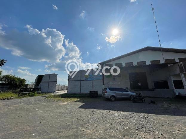 Gudang untuk disewa di Kaliwungu punya LT 11000m2 & LB 2500m2 harga sewa kompetitif Gudang untuk disewa di Kaliwungu punya LT 11000m2 & LB 2500m2 harga sewa kompetitif