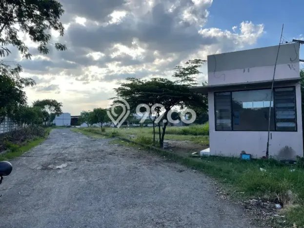 Gudang untuk disewa di Kaliwungu punya LT 11000m2 & LB 2500m2 harga sewa kompetitif Gudang untuk disewa di Kaliwungu punya LT 11000m2 & LB 2500m2 harga sewa kompetitif