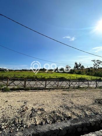Lahan untuk Dijual di Tabanan Tabanan Luas 300m2 Lahan untuk Dijual di Tabanan Tabanan Luas 300m2