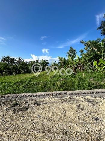 Lahan untuk Dijual di Tabanan Tabanan Luas 300m2 Lahan untuk Dijual di Tabanan Tabanan Luas 300m2