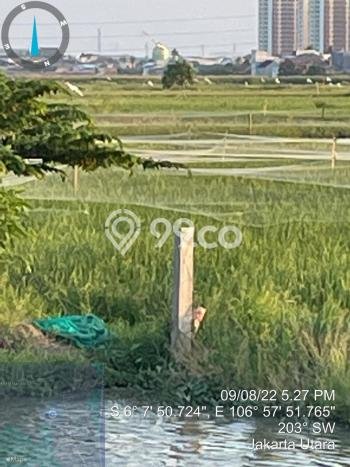 Tanah Premium di Rorotan, Luas 5550m2m², Akses Rorotan, Jakarta Utara, Jakarta Utara Tanah Premium di Rorotan, Luas 5550m2m², Akses Rorotan, Jakarta Utara, Jakarta Utara