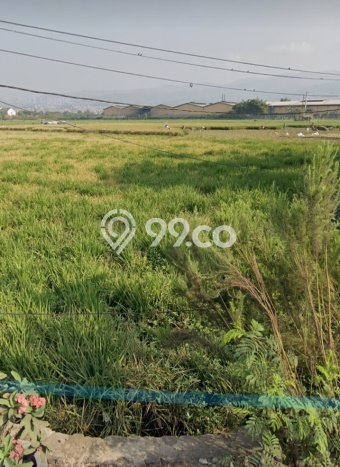 TANAH POTENSIAL! Tanah di , Luas 35000m2m², Akses Mudah TANAH POTENSIAL! Tanah di , Luas 35000m2m², Akses Mudah