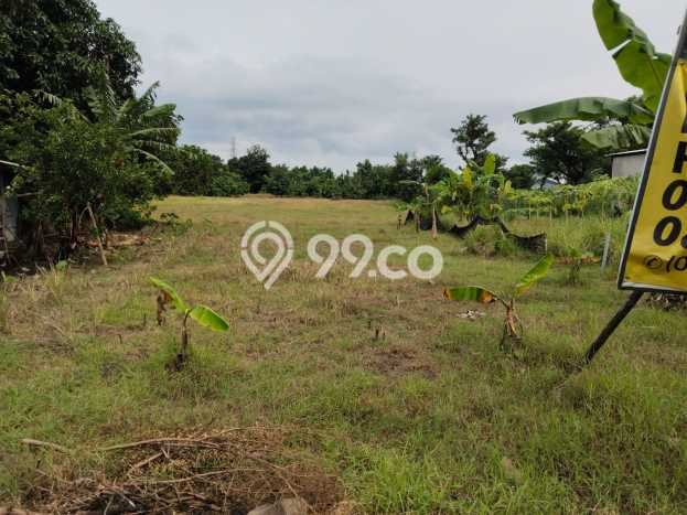 Tanah Dijual Lokasi Gondangrejo, Karanganyar Luas 14209m2 Legalitas Aman Tanah Dijual Lokasi Gondangrejo, Karanganyar Luas 14209m2 Legalitas Aman