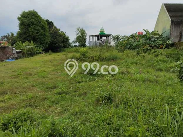 Lahan Dijual Lokasi Gondangrejo, Karanganyar dengan Luas Tanah 2540m2 dan Status - Lahan Dijual Lokasi Gondangrejo, Karanganyar dengan Luas Tanah 2540m2 dan Status -