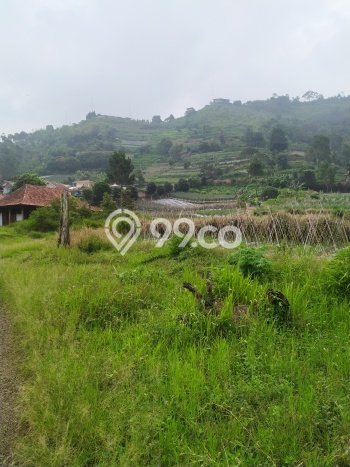 Tanah untuk Dijual Lokasi Lembang, Bandung Barat Luas 20000m2 SHM Tanah untuk Dijual Lokasi Lembang, Bandung Barat Luas 20000m2 SHM