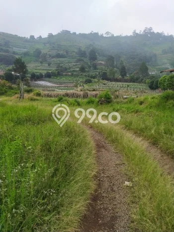 Tanah untuk Dijual Lokasi Lembang, Bandung Barat Luas 20000m2 SHM Tanah untuk Dijual Lokasi Lembang, Bandung Barat Luas 20000m2 SHM