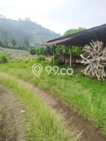 Tanah untuk Dijual Lokasi Lembang, Bandung Barat Luas 20000m2 SHM Tanah untuk Dijual Lokasi Lembang, Bandung Barat Luas 20000m2 SHM