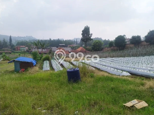 Tanah untuk Dijual Lokasi Lembang, Bandung Barat Luas 20000m2 SHM Tanah untuk Dijual Lokasi Lembang, Bandung Barat Luas 20000m2 SHM