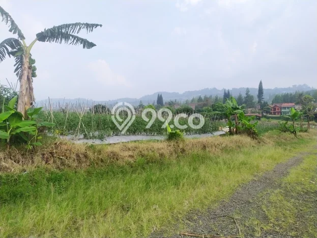 Tanah untuk Dijual Lokasi Lembang, Bandung Barat Luas 20000m2 SHM Tanah untuk Dijual Lokasi Lembang, Bandung Barat Luas 20000m2 SHM