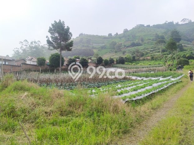 Tanah untuk Dijual Lokasi Lembang, Bandung Barat Luas 20000m2 SHM Tanah untuk Dijual Lokasi Lembang, Bandung Barat Luas 20000m2 SHM